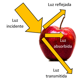 Interacción luz-muestra. Espectroscopía NIR frutas y verduras