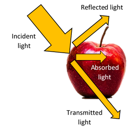 Interaction light-sample. NIR spectroscopy applied to fruits and vegetables