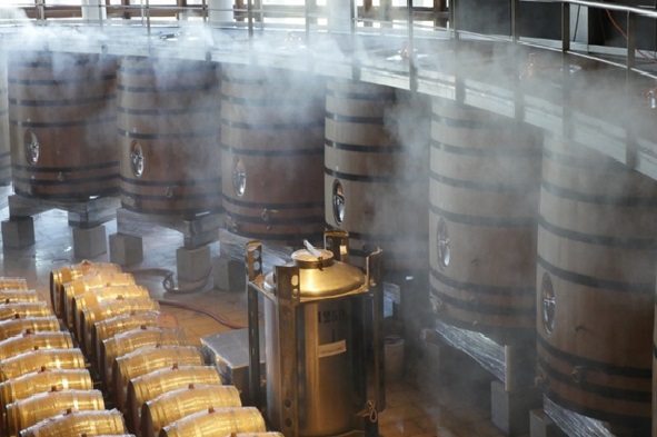 NIR spectroscopy applied to the wine industry