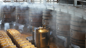 Wine cellar. NIR spectroscopy applied to the wine industry