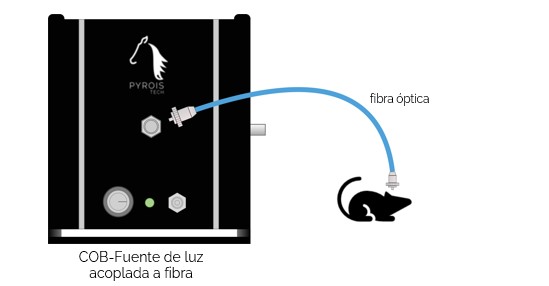 Esquema 1 es