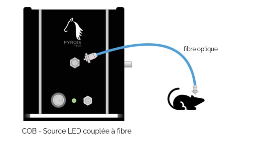 Esquema 1 fr