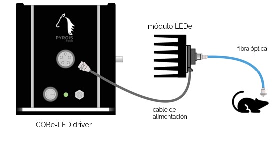 Esquema 2 es
